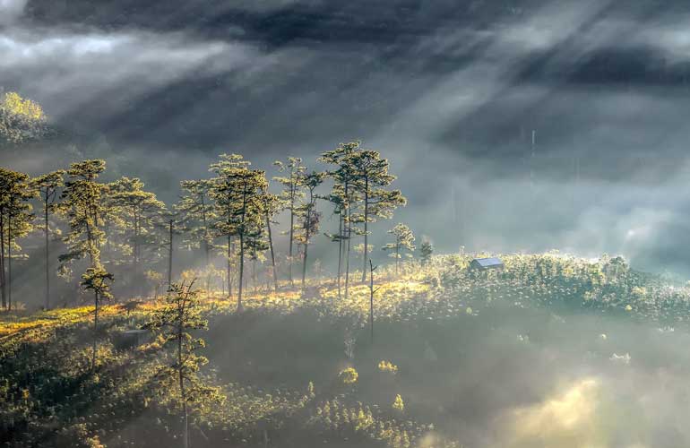 Dalat Overview
