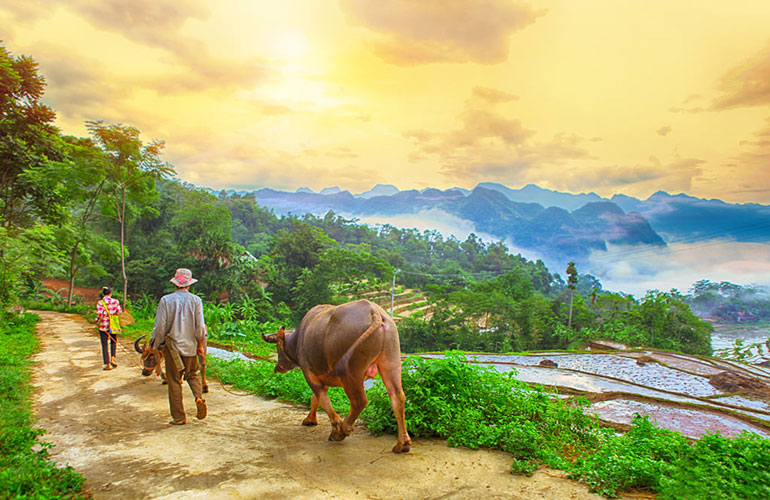 Pu Luong daily life of the locals