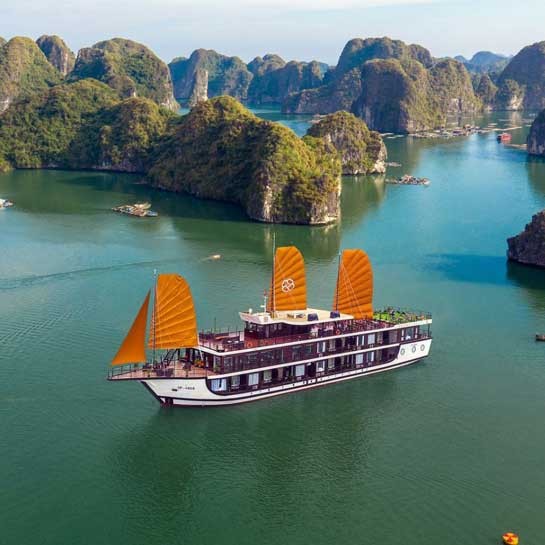 Peony Cruise 2 days 1-night