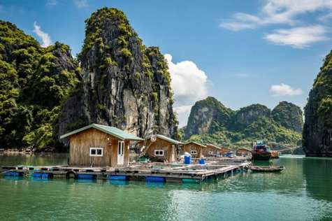 Returning to the cruise, settle your bill, check out, and sail back to Tuan Chau Island