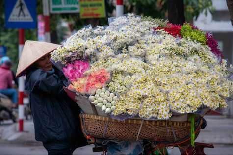 Upon arrival, you will receive a warm welcome from Vietnam Travels and be transferred to Hanoi