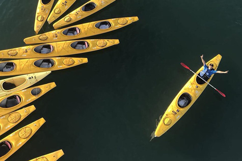 Tourists are excited about the experience of kayaking and seeing the entire landscape of Ha Long Bay.