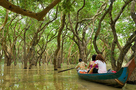 Visitors are impressed by the diverse ecosystem with many types of plants in Tonle Sap Lake.