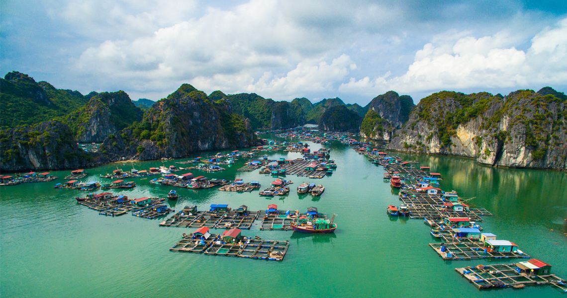 Indochine Cruise