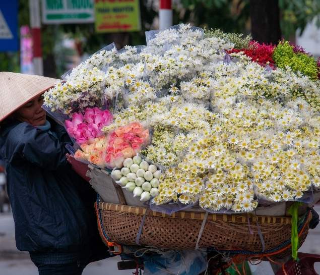 8-Day Itinerary through Vietnam Highlights