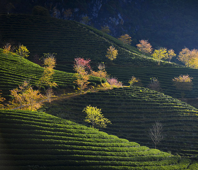 Sapa 2 days 1 night