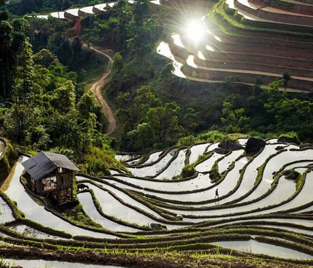 Sapa tour from Hanoi